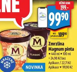 Albert Zmrzlina MAGNUM pinta nabídka
