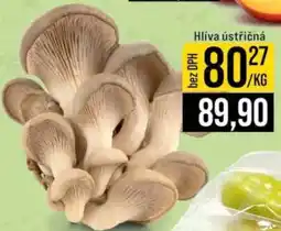 Jip Hlíva ústřičná nabídka