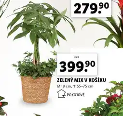 Lidl Zelený mix v košíku nabídka