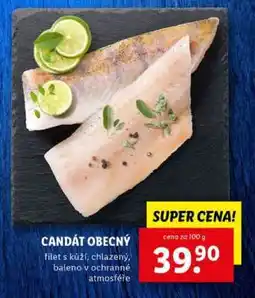 Lidl Candát obecný nabídka