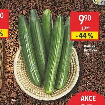 Globus Okurka hadovka nabídka