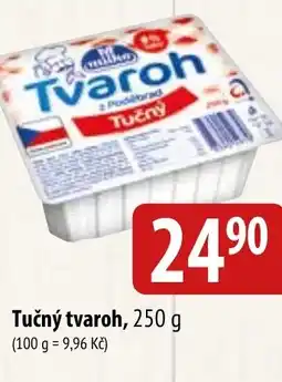 Bala Tučný tvaroh nabídka