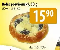 Bala Koláč posvícenský nabídka