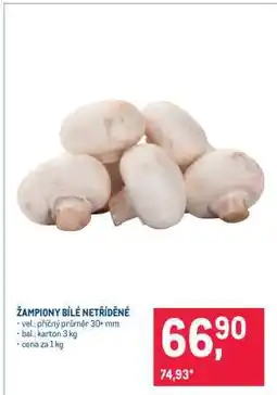Makro Žampiony bílé netříděné nabídka