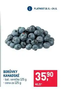 Makro Borůvky kanadské nabídka