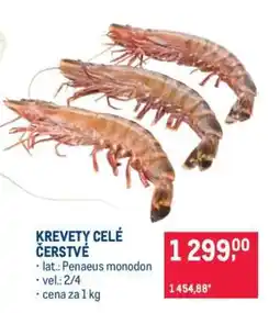 Makro Krevety celé čerstvé nabídka