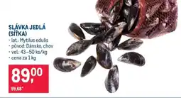 Makro Slávka jedlá (síťka) nabídka