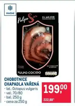 Makro Chobotnice chapadla vařená nabídka