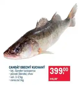 Makro CANDÁT OBECNÝ KUCHANÝ nabídka
