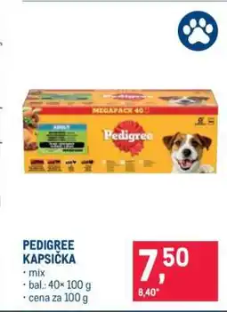 Makro Pedigree kapsička nabídka