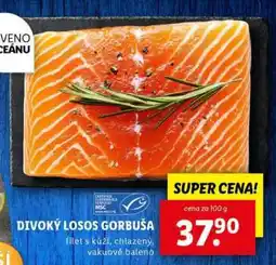 Lidl DIVOKÝ LOSOS GORBUŠA nabídka