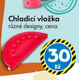 TEDi Chladicí vložka nabídka