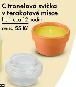 TEDi Citronelová svíčka v terakotové misce nabídka