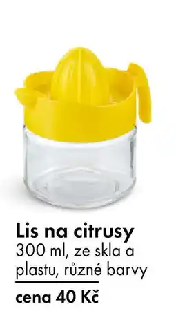 TEDi Lis na citrusy nabídka