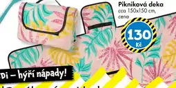 TEDi Pikniková deka nabídka