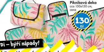 TEDi Pikniková deka nabídka
