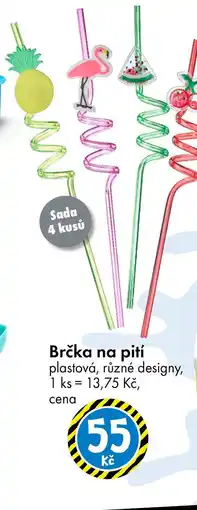 TEDi Brčka na pití nabídka