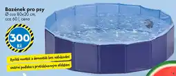 TEDi Bazének pro psy nabídka