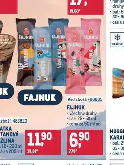 Makro Fajnuk zmrzlina nabídka