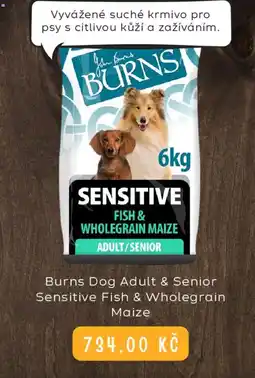 Zoohit Burns Dog Adult & Senior Sensitive Fish & Wholegrain Maize nabídka
