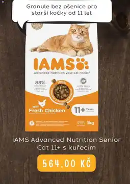 Zoohit IAMS Advanced Nutrition Senior Cat 11+ s kuřecím nabídka