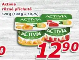 ESO MARKET Activia nabídka