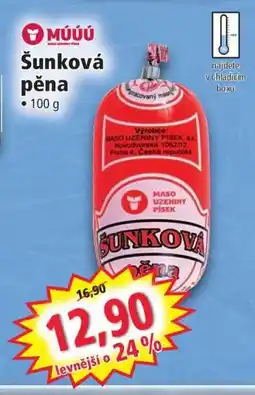 Norma Šunková pěna nabídka