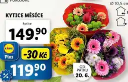 Lidl KYTICE MĚSÍCE nabídka