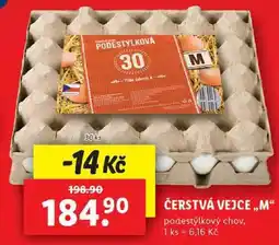 Lidl ČERSTVÁ VEJCE „M“ podestýlkový chov, 30 ks nabídka