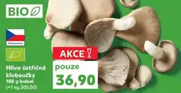 Kaufland Hlíva ústřičná kloboučky nabídka