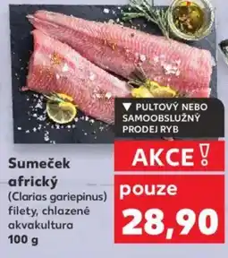 Kaufland Sumeček africký nabídka