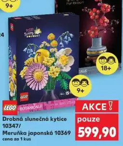 Kaufland Drobné slunečná kytice 10347 / Meruňka japonská 10369 nabídka