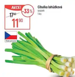 Globus CIBULKA LAHŮDKOVÁ nabídka