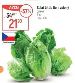 Globus Salát Little Gem zelený nabídka