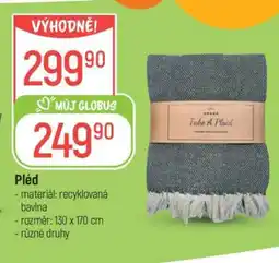 Globus PLÉD nabídka