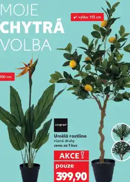 Kaufland Umělá rostlina nabídka