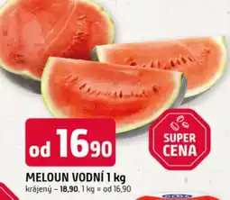 Meloun vodní