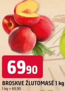 Trefa Broskve žlutomasé nabídka