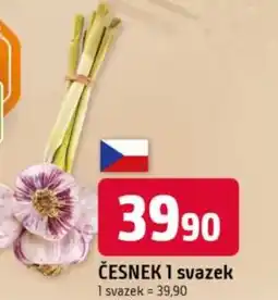 Česnek