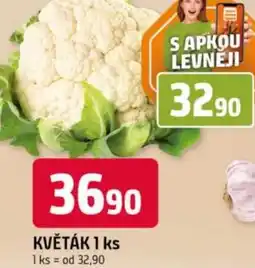 Trefa Květák nabídka