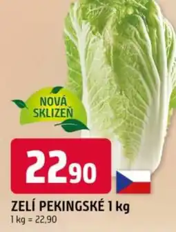 Trefa Zelí pekingské nabídka