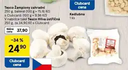 Tesco Žampiony zahradní nabídka