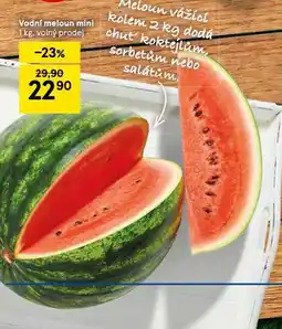 Tesco Vodní meloun mini nabídka