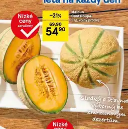 Tesco Meloun cantaloupe nabídka