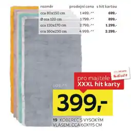 XXXLutz Koberec s vysokým vlasem nabídka