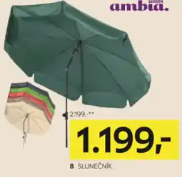 Slunečník