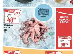 Globus Chobotnice obecná celá nabídka