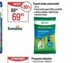 Globus Travní směs univerzální nabídka