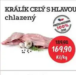 RABBIT řeznictví KRÁLÍK CELÝ S HLAVOU chlazený 1kg nabídka
