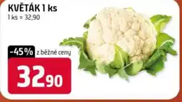 Trefa Květák nabídka